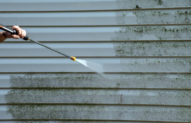 Best Sidewalk and Walkway Cleaning  in Creston, IA